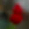 woman seeking men Sriperumbudur near me photo - Mahiaroraarora