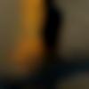 Single Male - Rohith