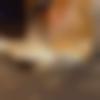 woman seeking men Pithoragarh near me photo - Shreya