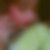 Female Photo - Savi