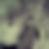 Male Photo - Santosh