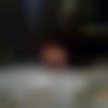 Male Photo - Lanong