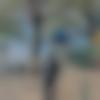 Rajpura Male Photo - Gursewak