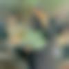 woman seeking men Machilipatnam near me photo - Sk