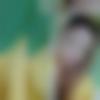 woman seeking men Kodinar near me photo - Saiyed