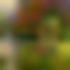 woman seeking men Arsikere near me photo - Neha