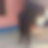 Dumka Male Photo - Joy