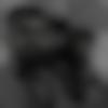 Tulu member profile Photo, Email, Address and Contact Details - Akash