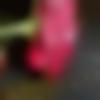 Male Photo - Sakthi