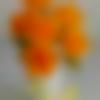 Male Photo - Sanjay