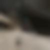 Petlad Male Photo - Shubham
