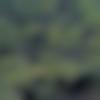 woman seeking men Pamur near me photo - Nanci
