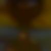 Single Female - Anis