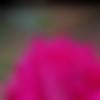 woman seeking men Birur near me photo - Tamil