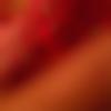 Single Male - Mrsrinivasa