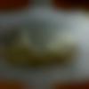 woman seeking men Barwala near me photo - Mina