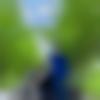 Singhalese member profile Photo, Email, Address and Contact Details - Don
