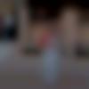 Bhilwara Female, photo - Disha