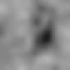 Muzaffarnagar Male Photo - Nadeemkhan14528