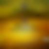 Allahabad Male Photo - Rocky2578