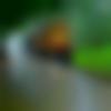 Idar Male, photo - Riyaz
