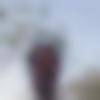 Nizamabad Male, photo - Riteshkumar22
