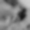 Male Photo - Velayutham