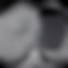 Male Photo - Schui
