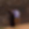 Single Male - Raghav