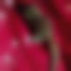 woman seeking men Memari near me photo - Najma