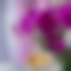woman seeking men Pileru near me photo - Shaik