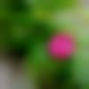 Single Female - Monalisha
