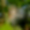 Female Photo - Anvitha