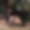 Assandh Male, photo - Samar