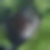 Podili Male Photo - Munna
