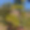 Single Male - Vr