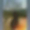 woman seeking men Mon near me photo - Rebecca