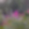 woman seeking men Dabhoi near me photo - Sabrel