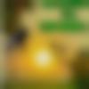 Single Female - Apurba