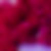 woman seeking men Kantabanji near me photo - Tabassum