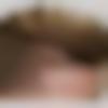 Single Male - Akshsy