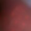 Single Female - Majam