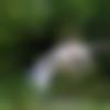 woman seeking men Haflong near me photo - Sabnam