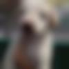 woman seeking men Gumla near me photo - Depika58
