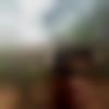 Male Photo - Murugesh