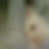 Parola Male Photo - Imran