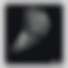 Male Photo - Asho