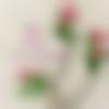Tulu member profile Photo, Email, Address and Contact Details - Rahul