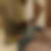 Male Photo - Nitish