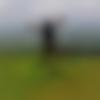 Arsikere Male Photo - Akshay
